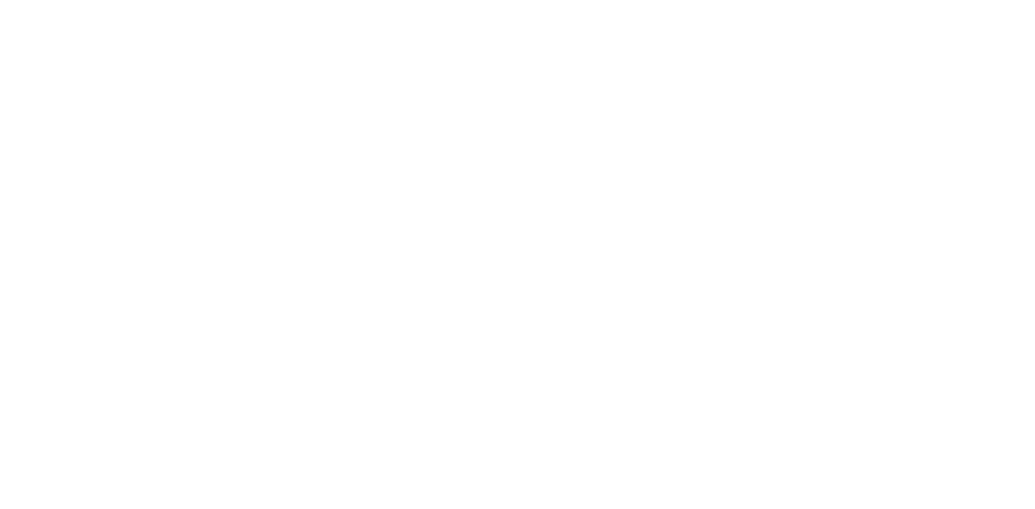 DX Informes Logo